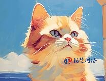 常見(jiàn)的通用頂級(jí)域包括哪些？分別代表什么意思？