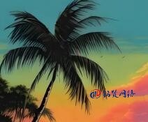 2025年國(guó)內(nèi)企業(yè)如何做好網(wǎng)站SEO優(yōu)化工作？